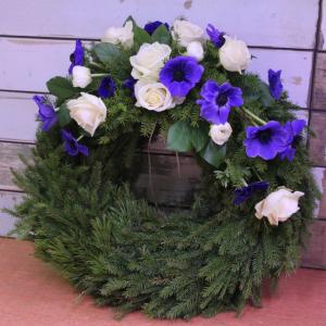 seppeleet alk. 100€